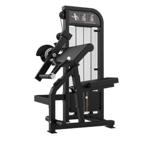 Gymfit Custom-Line Bicep/Tricep Machine