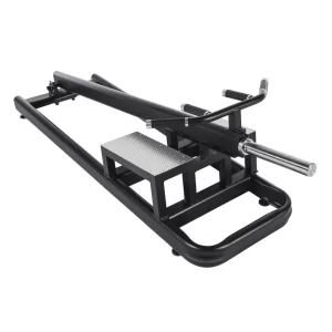 Telju plate loaded T bar row